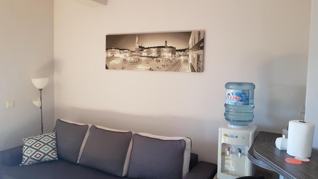 Apartment Viktor,Parking Osijek Exteriér fotografie